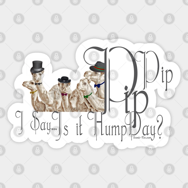 Brit Humour PipPip Gentlemen Camels  HumpDay Sticker by IconicTee